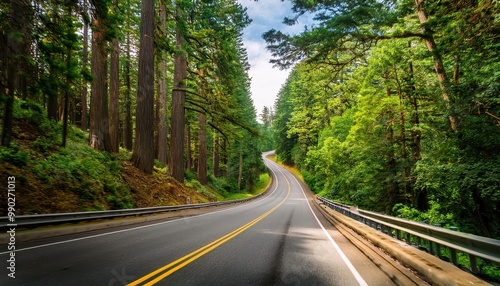 Serene Curved Road Through Lush Green Forest