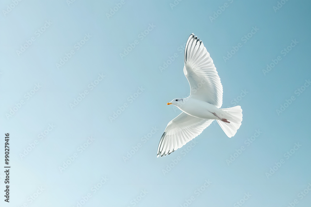 Fototapeta premium A soaring seagull gracefully flies through the blue sky, embodying freedom and the beauty of nature