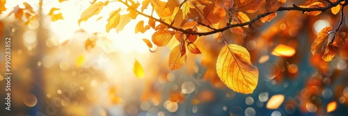 Fall Background. Colorful Bright Autumn Leaves Swinging in Park with Bokeh Effect