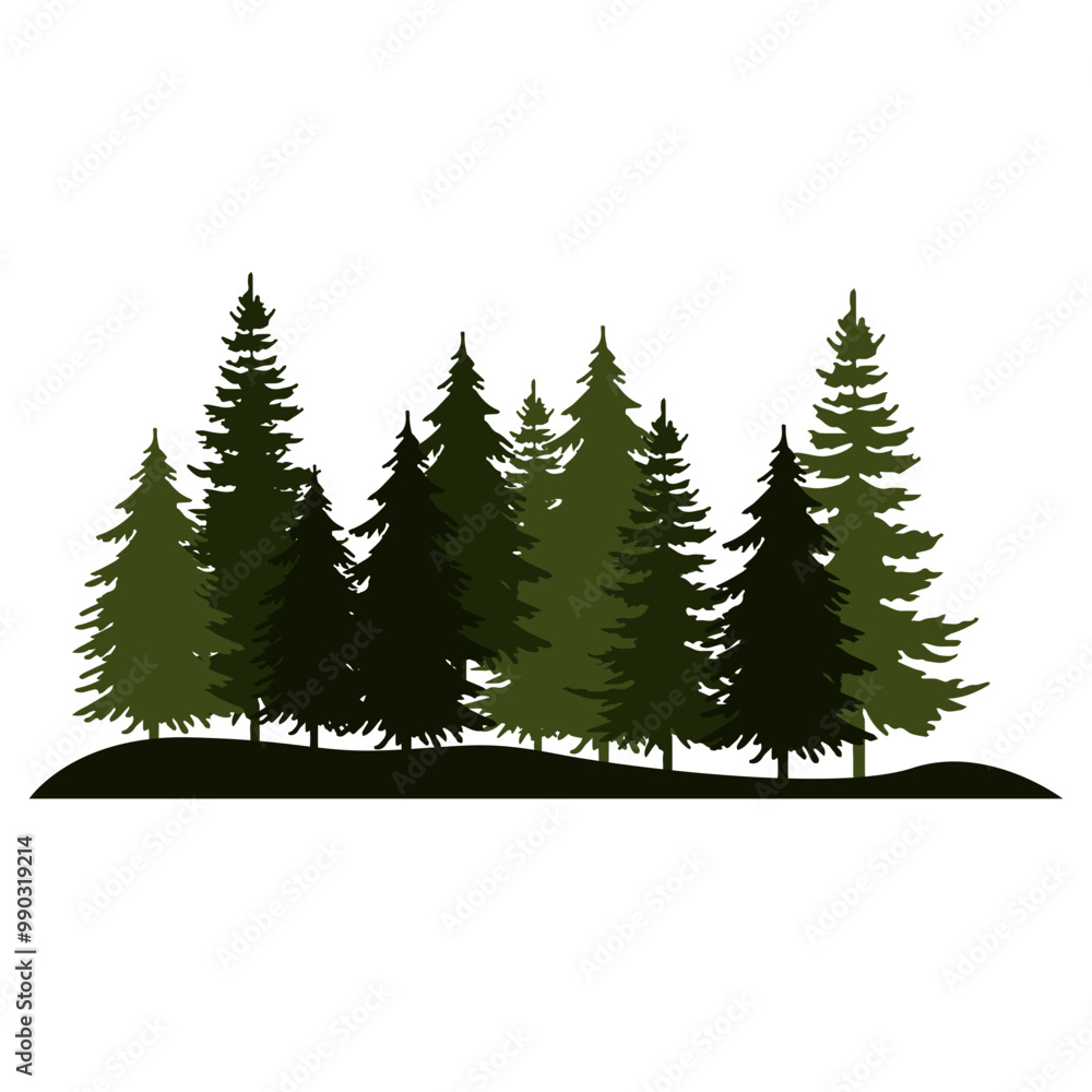 Fototapeta premium Pine Tree Silhouette