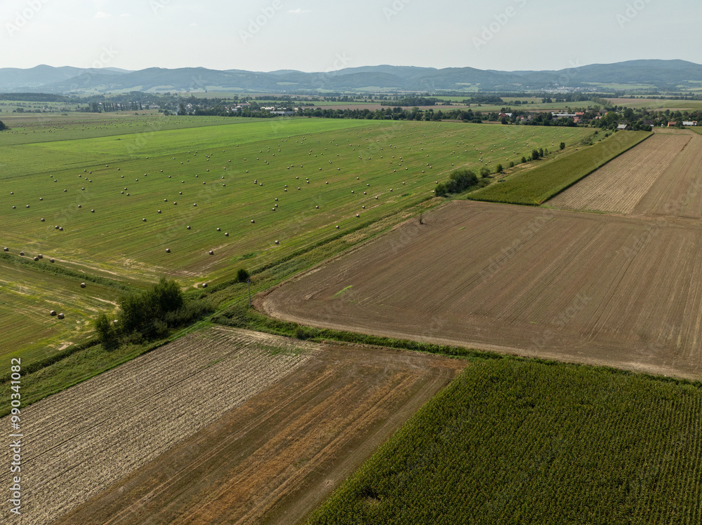 Obraz premium Aerial View of Summer Field Landscape With With Dry Hay Bales During Harvest. Green field in the countryside in summer full of straw bales in the Opole province in Poland.
