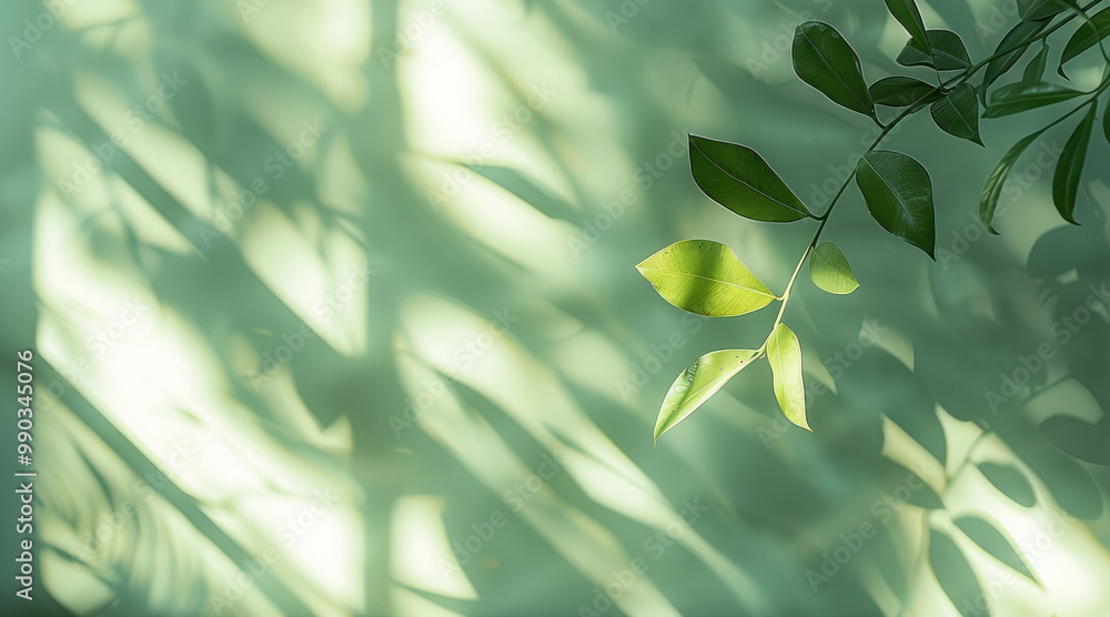 Minimalist shadow of a window on the wall, green background, minimalism, blurred, soft light, pastel colors, shadows from plants. Minimalist shadow of a window on the wall, green background, minimalism, blurred, soft light, pastel colors, shadows from plants.