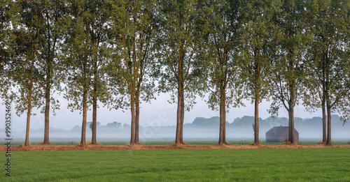 bunker and country road near culemborg in meadow on foggy early morning photo