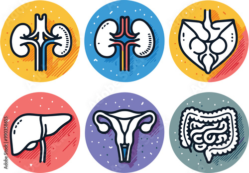 Vector illustration of six human internal organs icon art