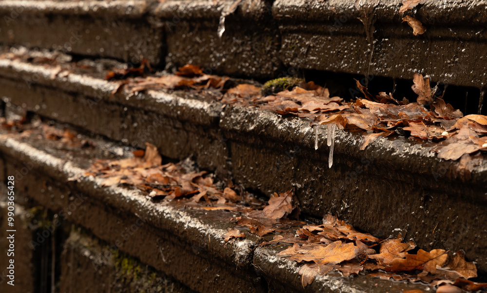 Fototapeta premium Three granite steps with brown fallen leaves and frozen drops of water