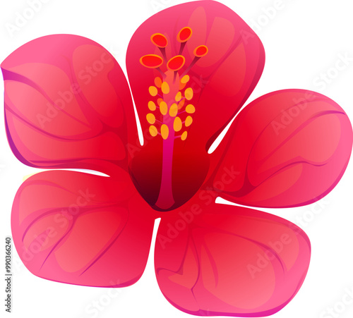 Cartoon hibiscus flower with pink and red petals emphasize tropical beauty and natural elegance. Isolated vector stunning, vibrant, red hibiscus blossom, floral element, exotic plant, tea ingredient