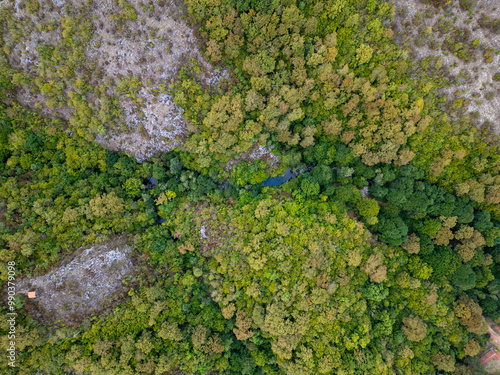 A mesmerizing aerial drone view flying above a dense green forest with rocky cliffs and a hidden river in Strandzha National Park, Bulgaria, capturing the untouched beauty of nature