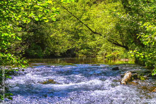 La Rivière de l'Orbieu en Occitanie française. Elle prend sa source dans les Corbières audoises. photo