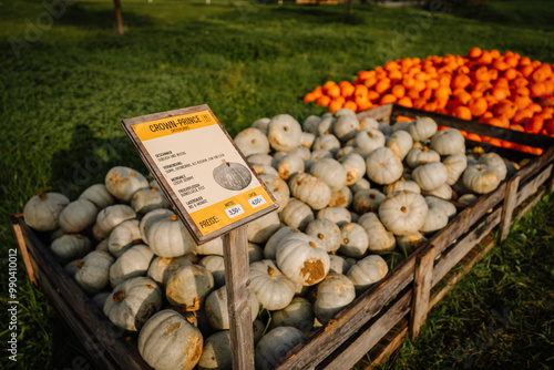 A roadside stand in Bavaria with crates of Crown Prince and orange pumpkins, displayed with a price sign during the autumn season. photo