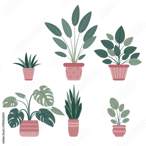 植木鉢に植えられた観葉植物。フラットなベクターイラスト。熱帯植物。モンステラ。サンスベリア。多肉植物。