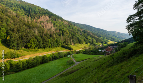 Paysages agricoles et routes de montagne dans la vallée de Sainte-Marie-aux-Mines, Grand Est, France