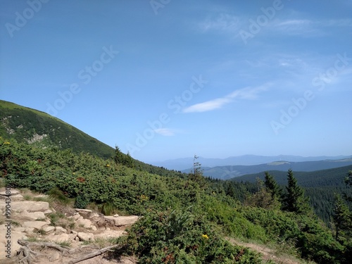 Mountain landscape and forest horizontal color photo image