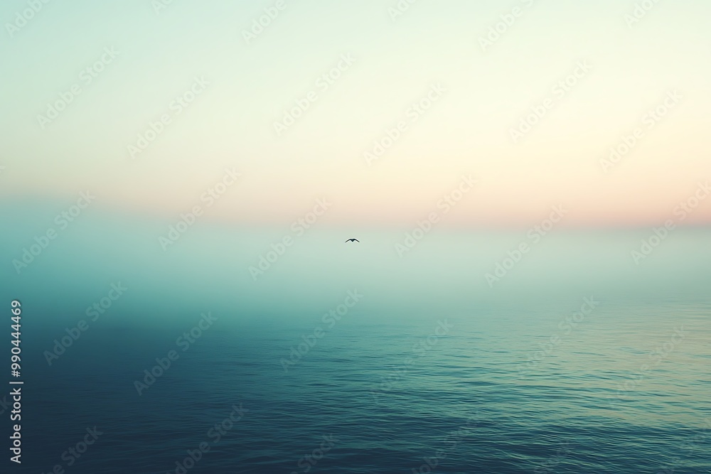 Calm Sea with a Single Bird Flying Over - Photo Calm Sea with a Single Bird Flying Over - Photo