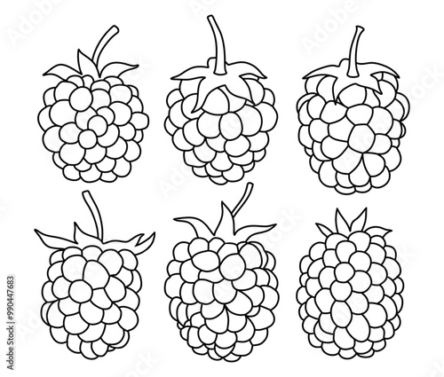 Hand drawn Outline black blackberry . doodle fruits set white doodle style.
