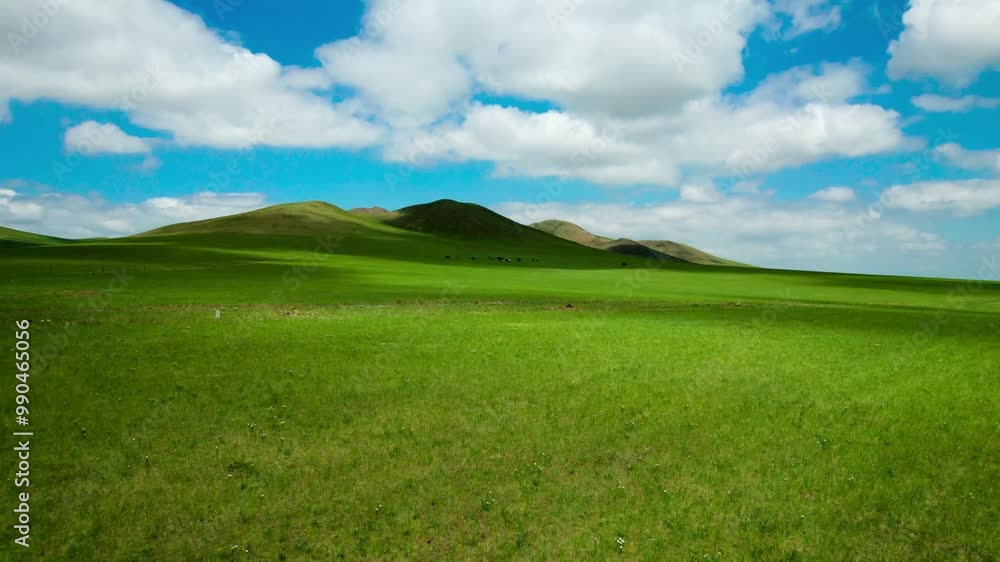 4k aerial video of blue sky, white clouds, grassland and mountains 4k aerial video of blue sky, white clouds, grassland and mountains