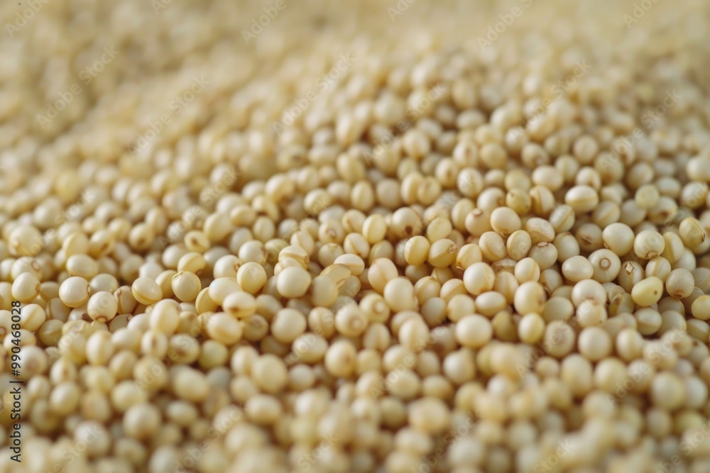 Close-up image of organic millet seeds, which are a whole grain food high in nutrients and fiber. These small grains can be used as a breakfast cereal or incorporated into plant-based recipes. Close-up image of organic millet seeds, which are a whole grain food high in nutrients and fiber. These small grains can be used as a breakfast cereal or incorporated into plant-based recipes.