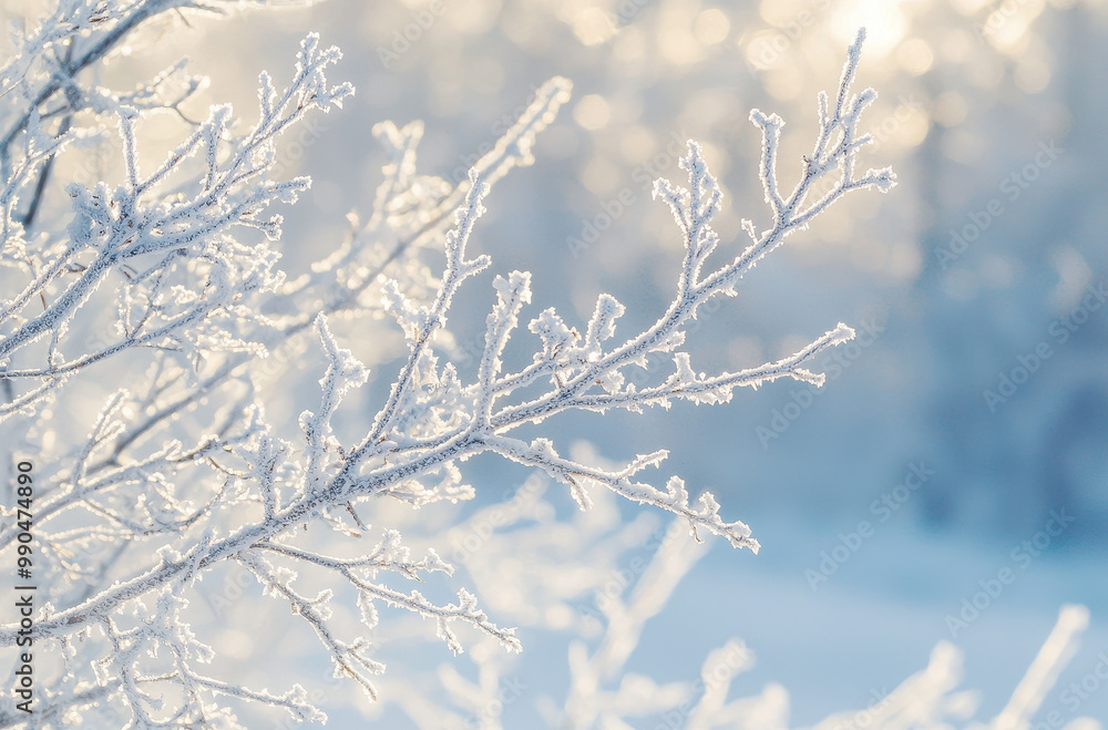 Frosty Branches in Snowy Winter Wonderland with Soft Sunlight Frosty Branches in Snowy Winter Wonderland with Soft Sunlight