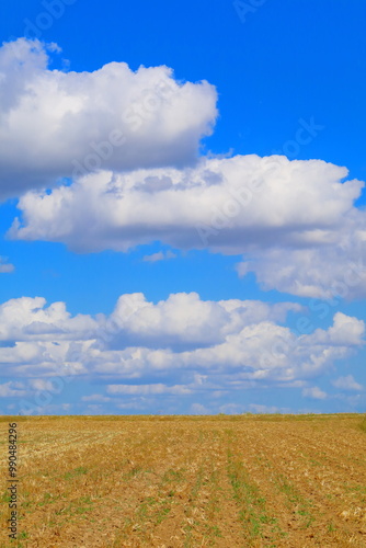 Feld mit blauem Himmel und Wolken