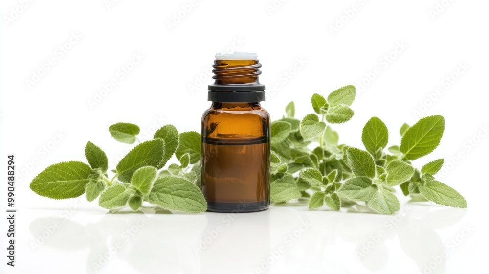 A small bottle of essential oil with a sprig of oregano leaves on a white background. A small bottle of essential oil with a sprig of oregano leaves on a white background.