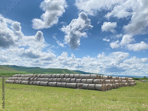 grass mound