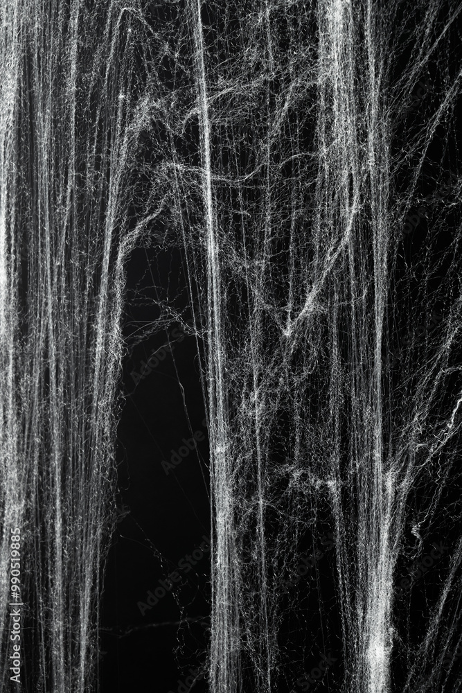 Obraz premium Spooky creepy cobweb spiders web covered a black background. Abstract halloween background.