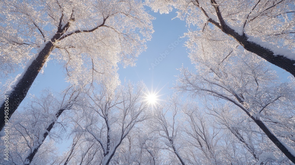 Obraz premium Snow-covered trees in a winter forest, with the sun shining through the branches.