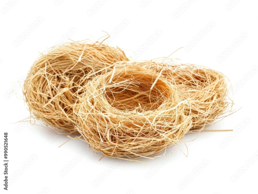 Bird Nests. Dried Edible Raw Ingredients Isolated on White Background Bird Nests. Dried Edible Raw Ingredients Isolated on White Background