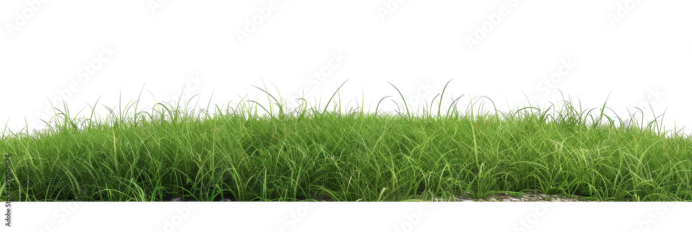 The PNG file showcases a verdant green grass hill, elegantly isolated from its background, offering a versatile element for digital compositions or designs. The PNG file showcases a verdant green grass hill, elegantly isolated from its background, offering a versatile element for digital compositions or designs.