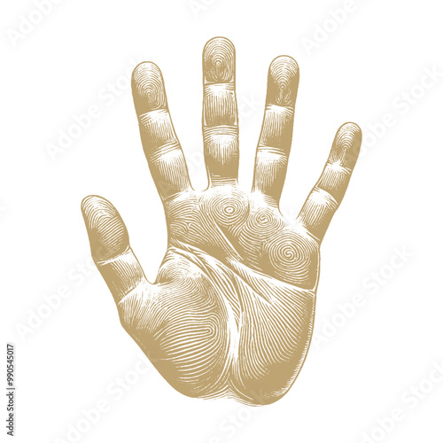 human handprint vector , The handprint should look realistic vector