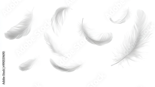 White feathers floating in the air, white feathers isolated on white background  photo