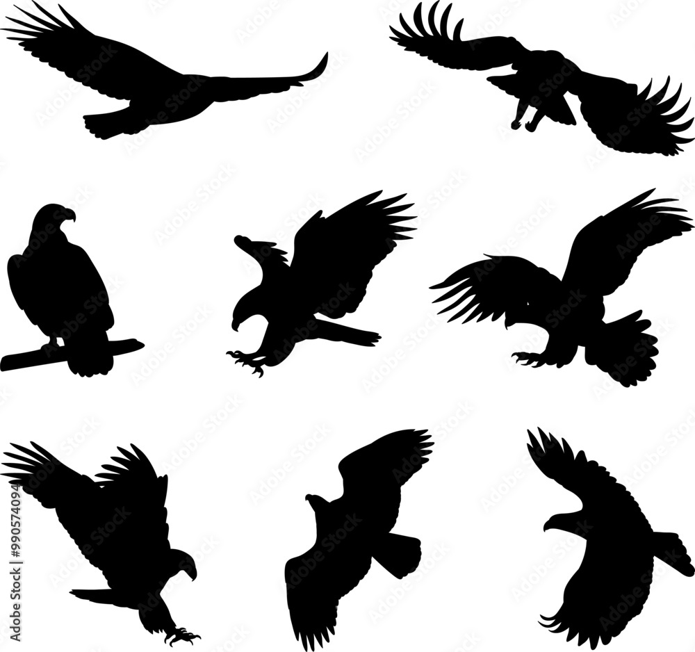 set of silhouettes birds flying, vector set of silhouettes birds flying, vector