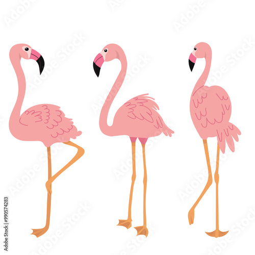 pink flamingos in flat style, vector