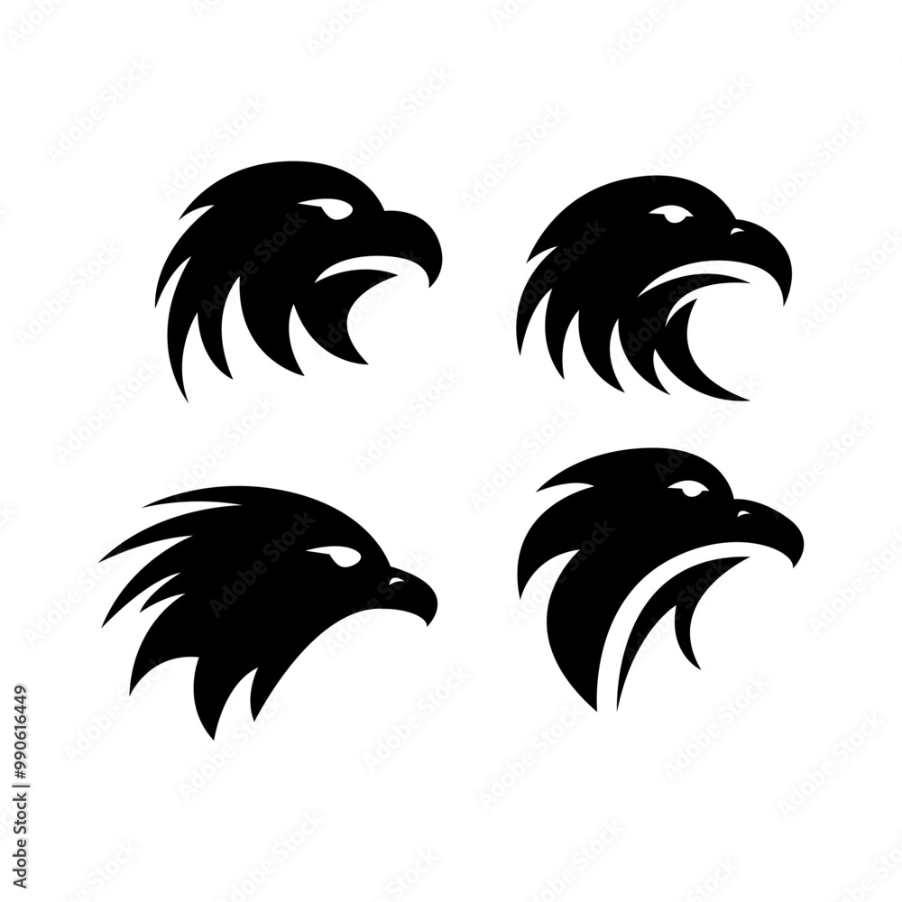 Obraz premium Head Hawk