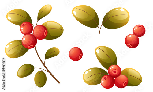 Set of vector illustrations of cranberries. Individual elements with lingonberries on a branch, a handful of berries with leaves and single scattered berries. Clip art for labels, postcards, logos.