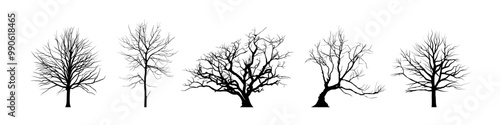 Winter tree silhouette. Leafless tree set. photo