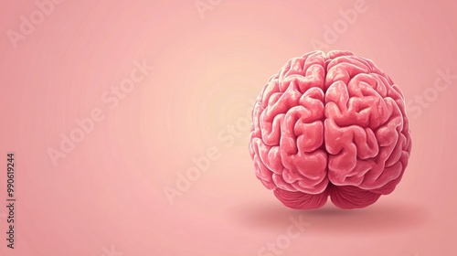 A realistic illustration of a human brain on a pink background.