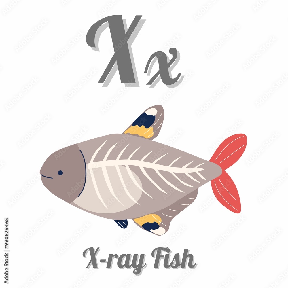 A colorful illustration of an X-ray fish, featuring its distinctive ...