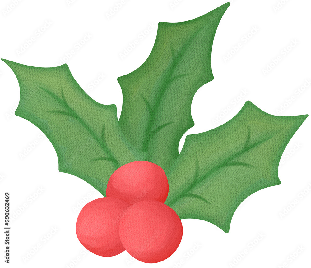 holly leaves and berries holly leaves and berries
