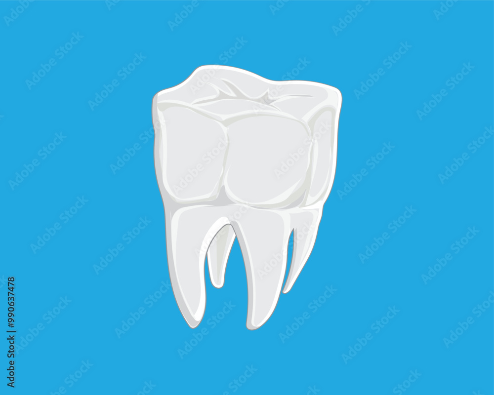 vector design illustration of a human molar tooth in white on a blue background vector design illustration of a human molar tooth in white on a blue background