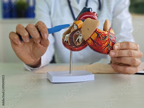 Hand of doctor cardiologist with scalpel anatomy of heart.