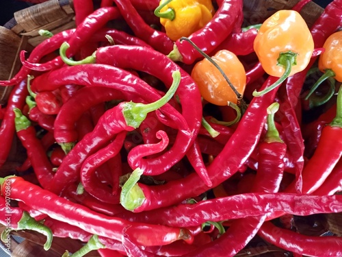 Pimientos rojos tipo guindilla y jalapeños 