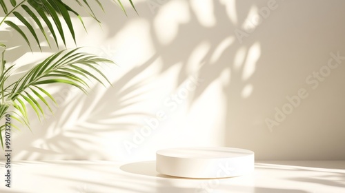 White pedestal in natural sunlight, with soft, organic shadows from nearby plant leaves on a bright background.