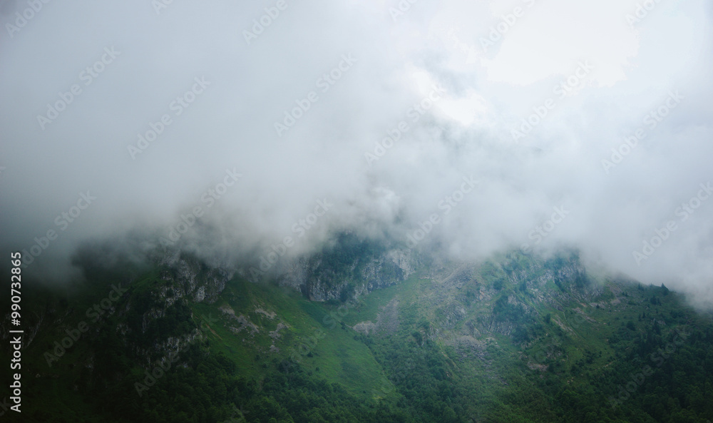 Misty coniferous forest in the mountains ''Col de la core'' France Misty coniferous forest in the mountains ''Col de la core'' France