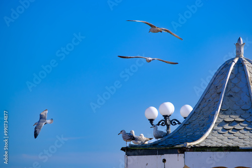 Sea gulls overflying or seating on a dome on Palace Pier in Brighton, UK
