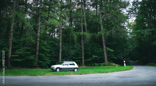 Old car parking in front of Pine Forest in France