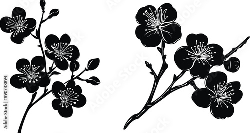 Vector Illustration of Isolated Orchid Flowers on a White Background