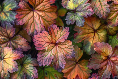 Multiple leaves in autumn colors with drops of dew