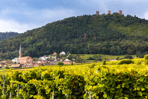 Village Husseren-les-Châteaux and the three castles of Husseren-les-Châteaux, in Alsace, in Vosges, on Alsace Wine Route, Haut-Rhin, Grand Est, France photo