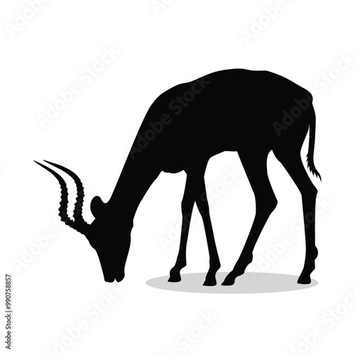 Gazelle silhouette, Gazelle Vector illustration, Gazelle isolated on white background																