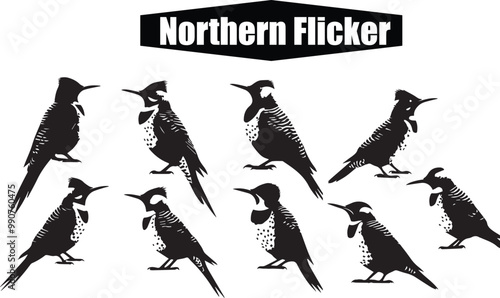 Northern Flicker Bird Illustration: Black and White Vector Image of Woodpecker Species for Ornithology and Wildlife Enthusiasts